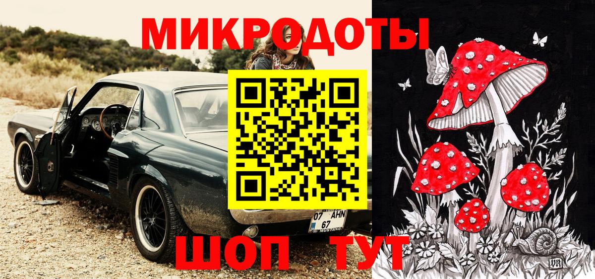Галлюциногенные грибы Psilocybe Аргун